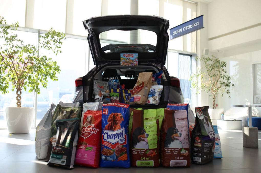 Двойная премьера весны: в омском автосалоне «OMODA|JAECOO Автоплюс» презентовали эффектные кроссоверы