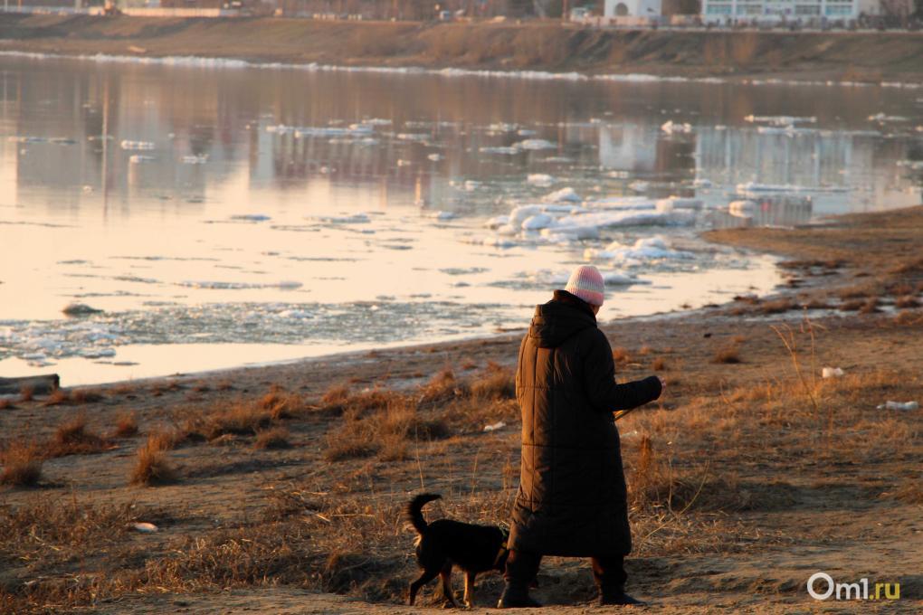 На Иртыше начался ледоход – посмотрите, как это красиво в лучах уходящего солнца
