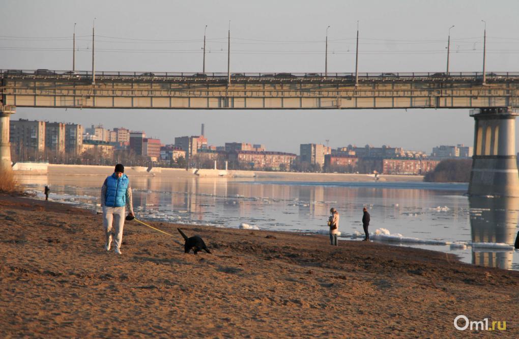 На Иртыше начался ледоход – посмотрите, как это красиво в лучах уходящего солнца