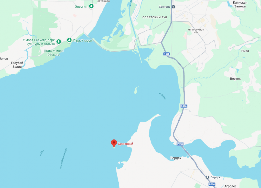 Хреновый, ТаньВань и Сапожок — топ абсурдных названий островов Новосибирска, которые удивят даже местных