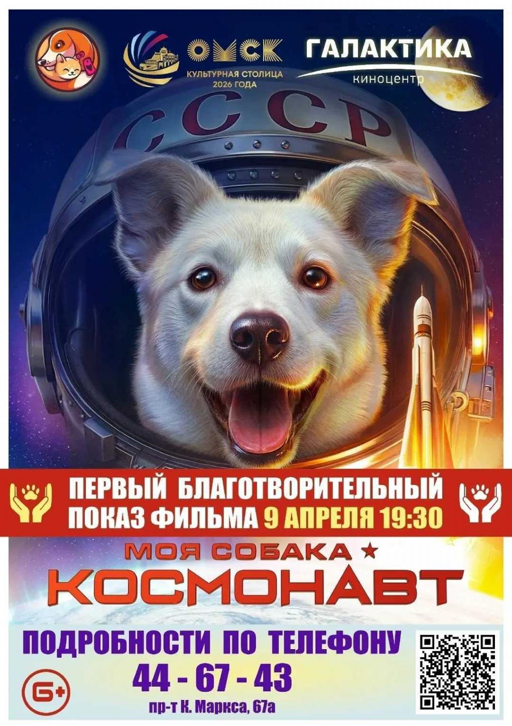 В Омске проведут благотворительный кинопоказ в поддержку приюта для животных