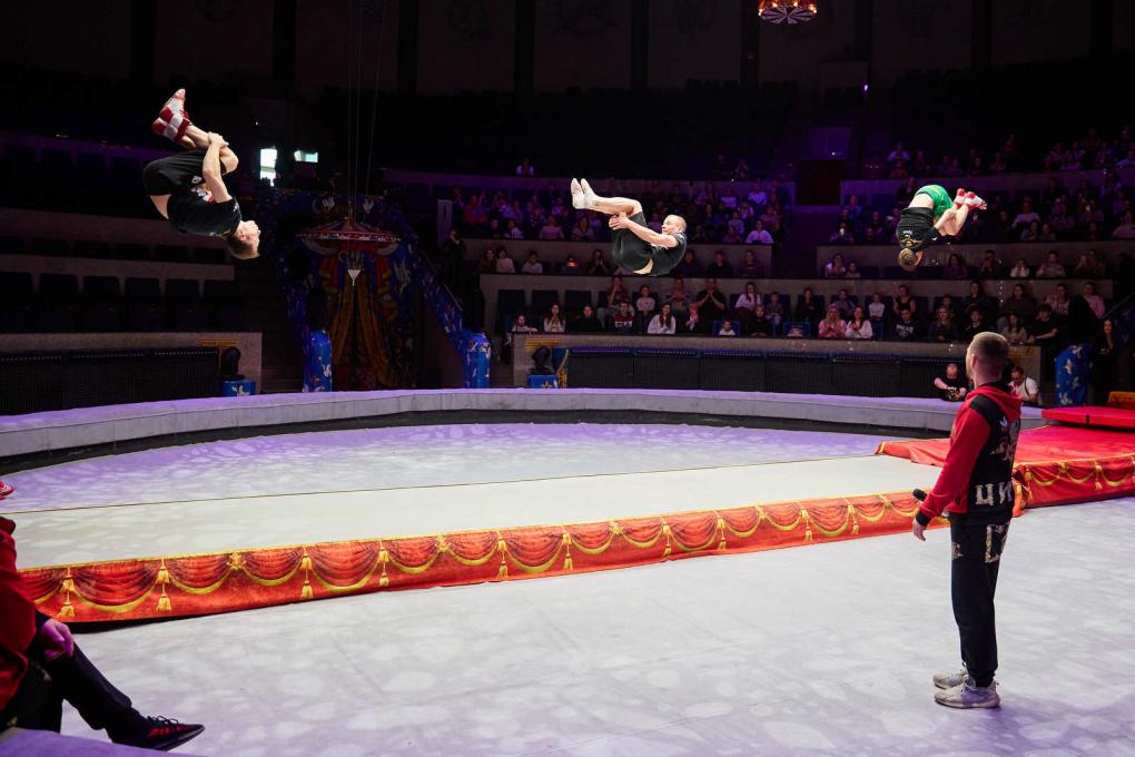 Увидеть магию изнутри: как артисты циркового шоу Гии Эрадзе «5 континентов» готовят грандиозные номера