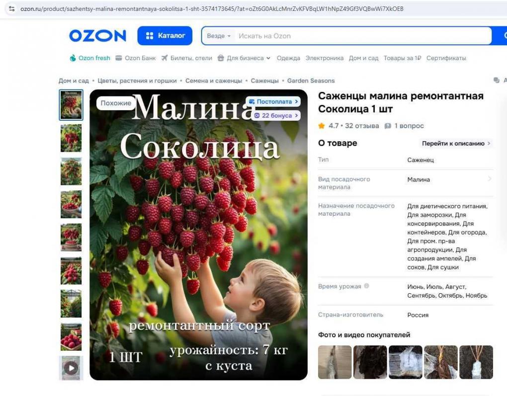 «Клубничное дерево» не взойдёт: как обманывают омских дачников на маркетплейсах