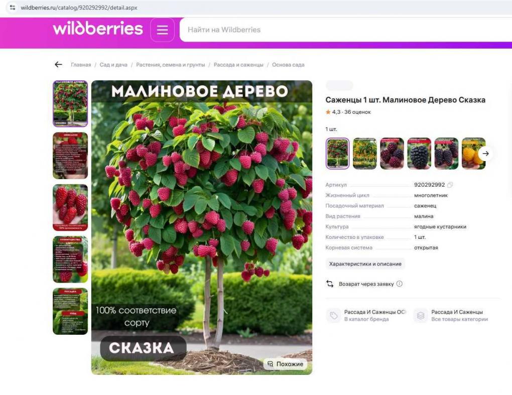 «Клубничное дерево» не взойдёт: как обманывают омских дачников на маркетплейсах