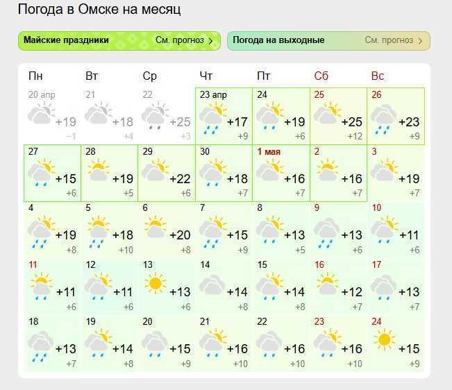 Когда в Омской области закончатся дожди: прогноз синоптиков