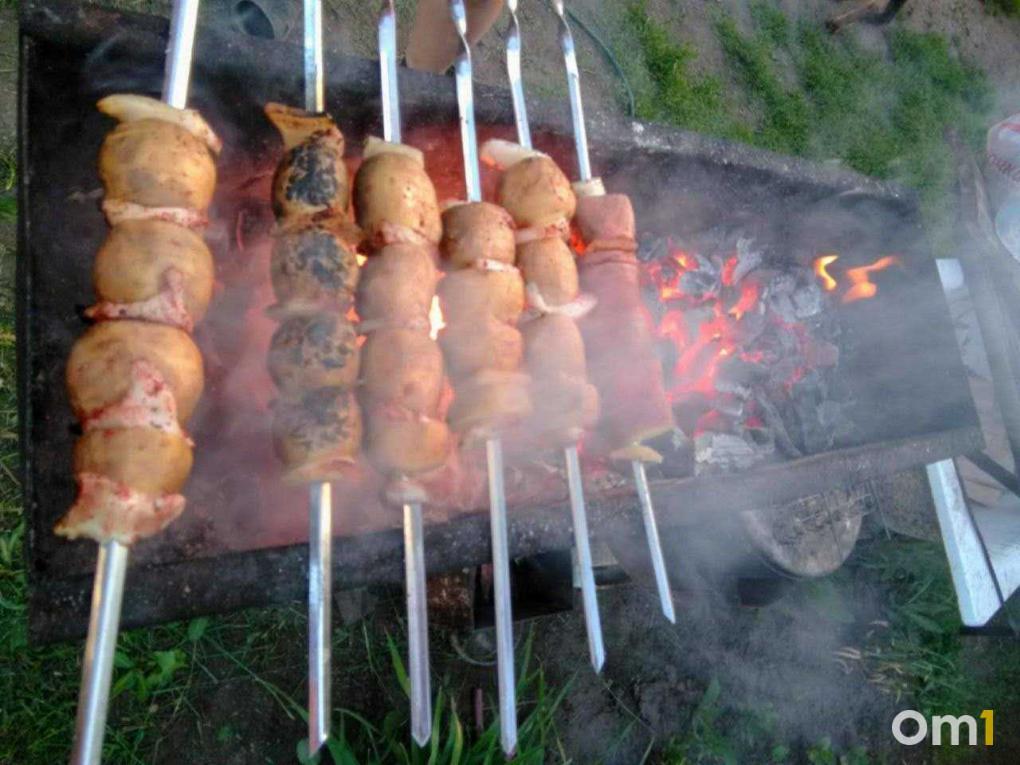 Свинина в топе — эксперты назвали главные вкусовые предпочтения новосибирцев на шашлыках