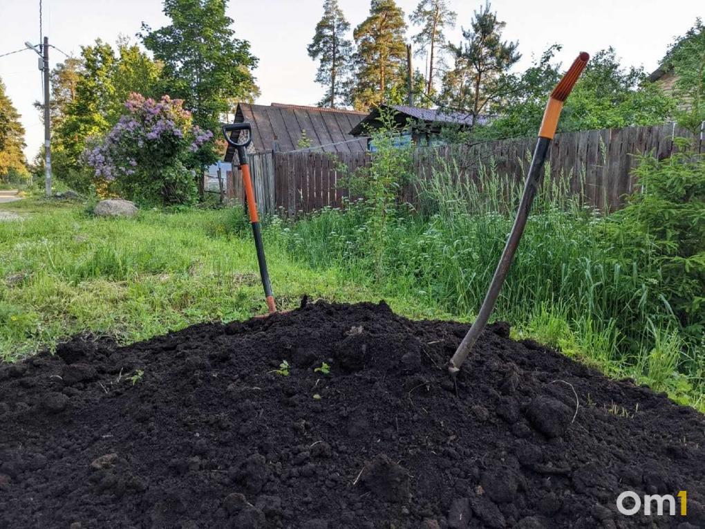 Как спасти дачные растения от поздних заморозков: шпаргалка для омичей