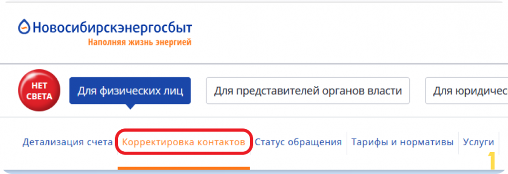 «Новосибирскэнергосбыт» запустил сервис автоматической корректировки контактов