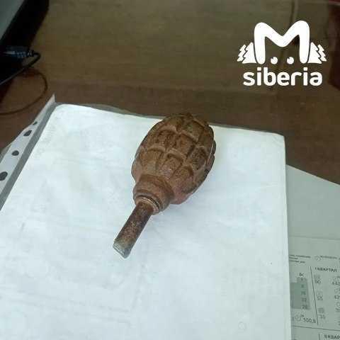 Второклассник пришёл на уроки с гранатой в школе под Новосибирском