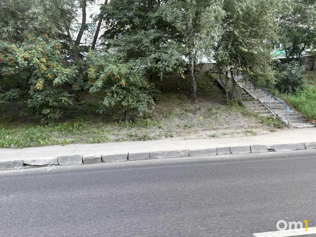 «Причиняют вред зелёной зоне»: на МЖК развернулась «война» за газон из-за самодельного моста к остановке