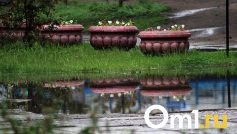 Омскую область зальёт на выходных: синоптики предупредили о ливнях и похолодании