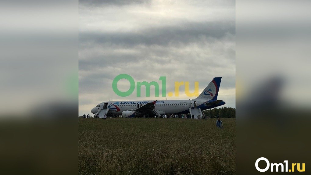 Стали известны причины экстренной посадки самолёта в Новосибирской области