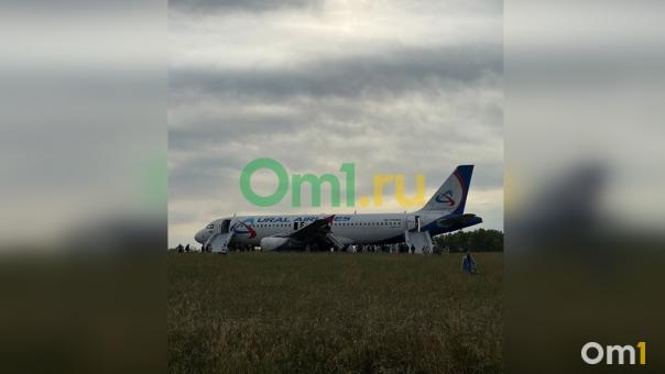 Стали известны причины экстренной посадки самолёта в Новосибирской области