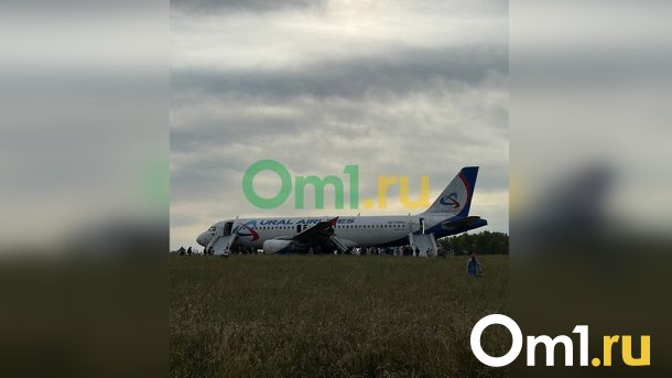 Стали известны причины экстренной посадки самолёта в Новосибирской области