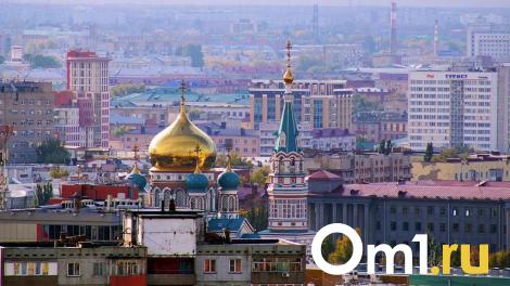 Угроза вируса Чикунгунья: эксперт рассказал, опасны ли комары в Омске