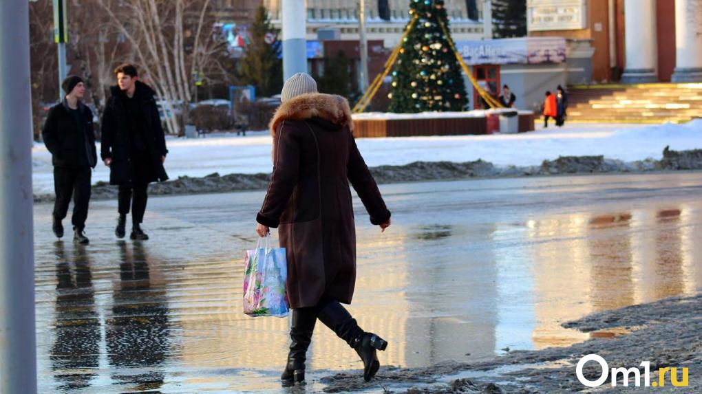 Ёлки в лужах: в Омск снова пришла аномальная погода