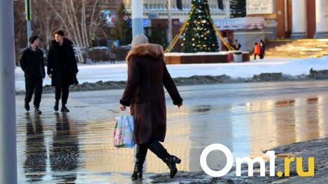 Ёлки в лужах: в Омск снова пришла аномальная погода