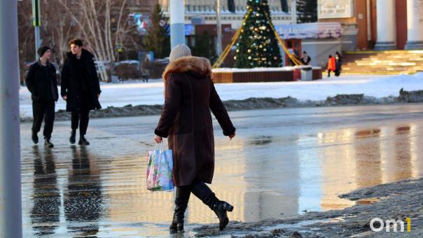 Ёлки в лужах: в Омск снова пришла аномальная погода
