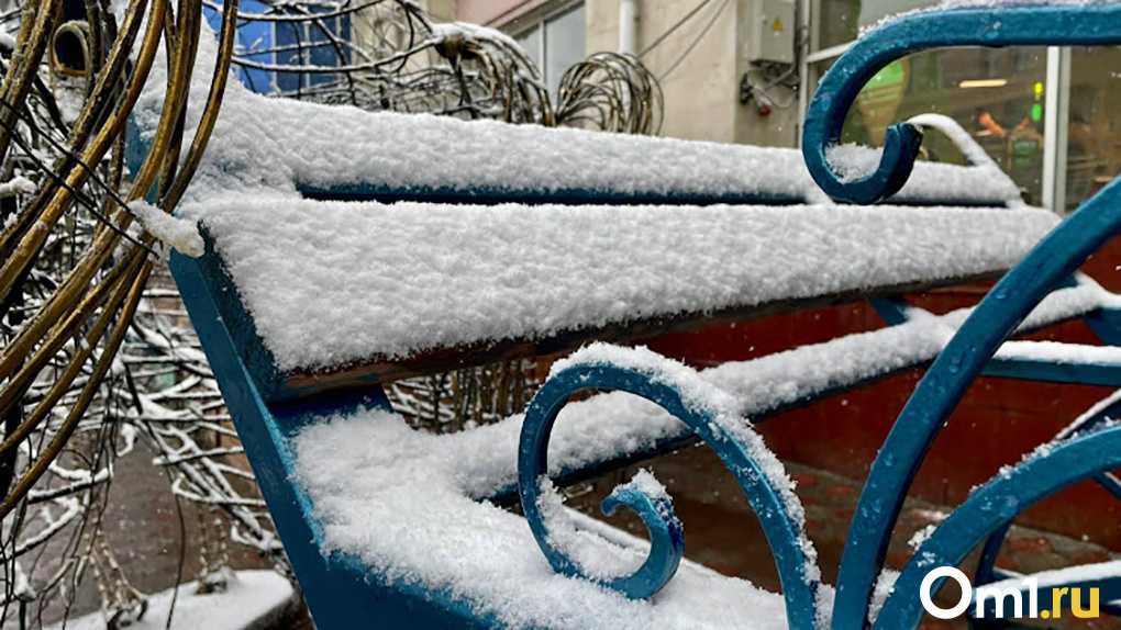 Норма или аномалия? Почему снег в Новосибирске до сих пор не выпал и когда его ждать этой зимой