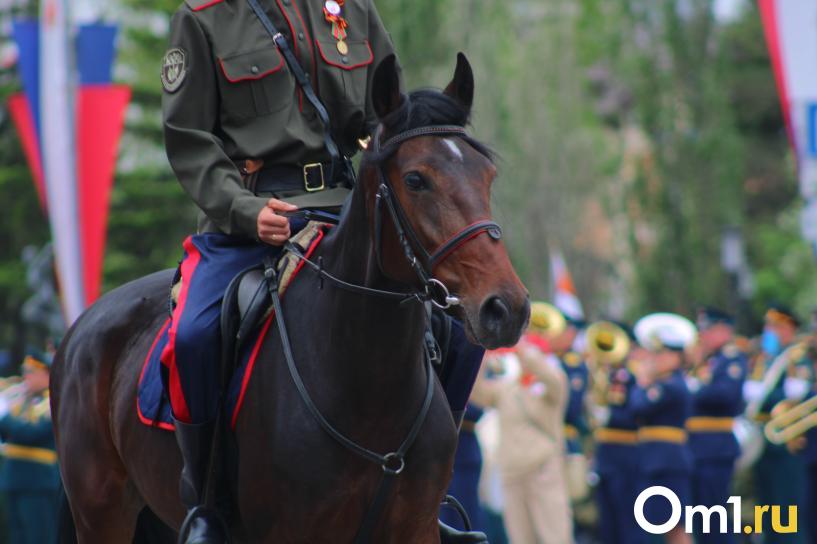 Изображение фоторепортажа