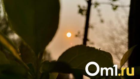 Из-за дыры на Солнце по омичам может ударить сильная магнитная буря