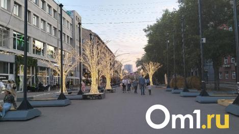 Улицу Ленина в Новосибирске навсегда сделают пешеходной