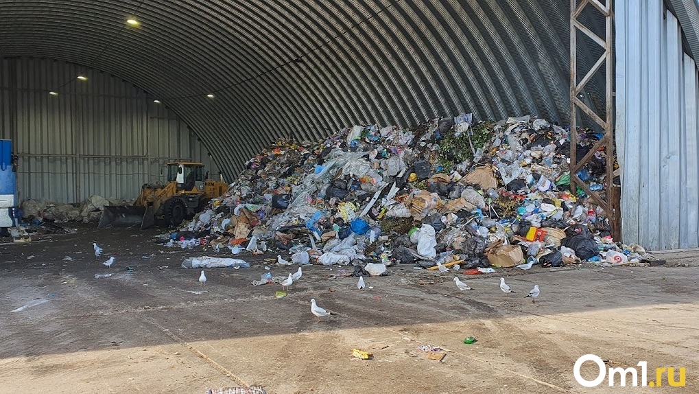 В Новосибирской области расторгли мусорную концессию