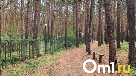 Омичи предпочитают не тратить деньги на спасение своей психики