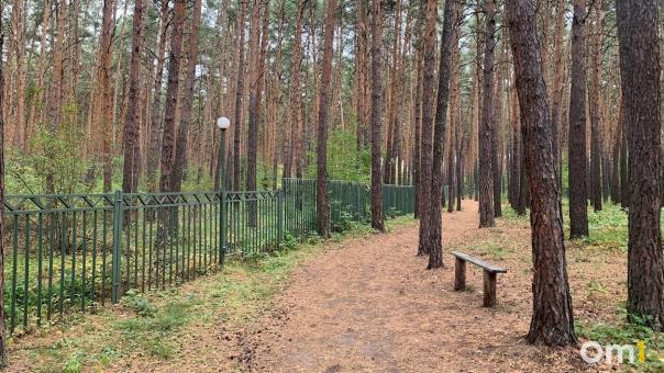 Омичи предпочитают не тратить деньги на спасение своей психики