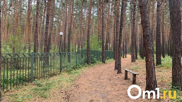 Омичи предпочитают не тратить деньги на спасение своей психики