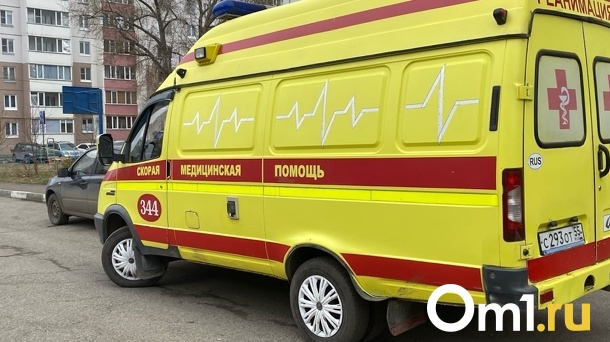 Воткнул нож в грудь. Омич пытался убить сына своей жены