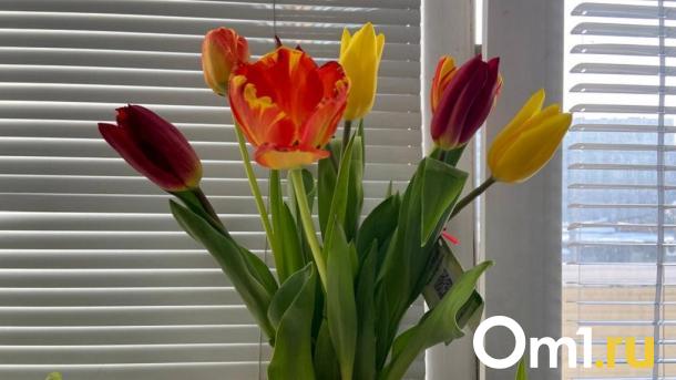 Новосибирские женщины рассказали о желанных подарках на 8 Марта