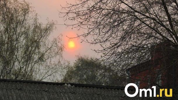 В Омске 19 мая зафиксирована магнитная буря уровня G1