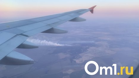Всего три авиакомпании ни разу не опоздали при полётах в Омск
