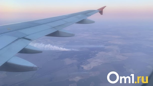 Всего три авиакомпании ни разу не опоздали при полётах в Омск