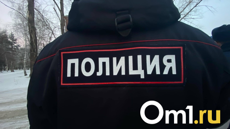 Обыски прошли в детском саду Кировского района Новосибирска