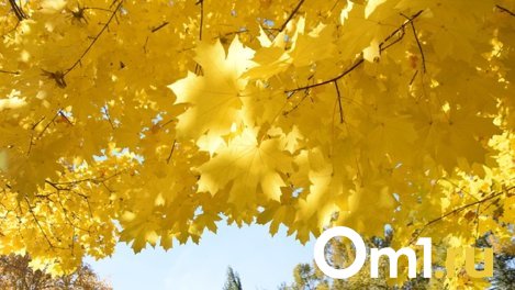 Осталась неделя: погода готовит омичам сюрприз