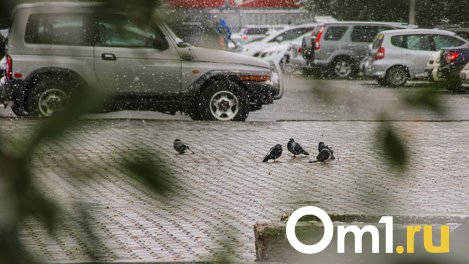 Пора переобуваться: в Омске похолодает до -4