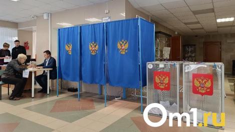 Муниципальные выборы депутатов стартовали в Новосибирской области