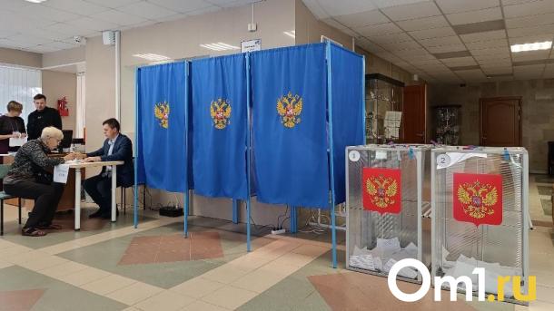 Муниципальные выборы депутатов стартовали в Новосибирской области
