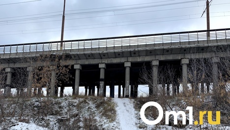 Из инвестпрограммы Омска исключат путепровод и три детсада