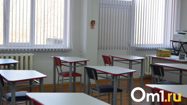 В Омске продолжают закрывать школы из-за заболеваний пневмонией