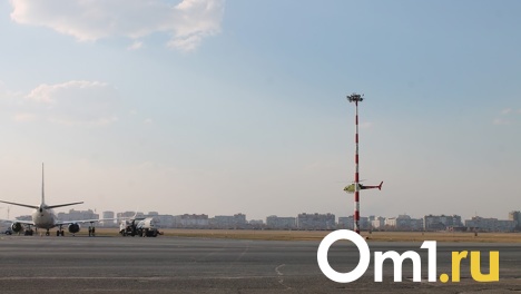 Базовый перевозчик Омского аэропорта запустит шесть новых рейсов