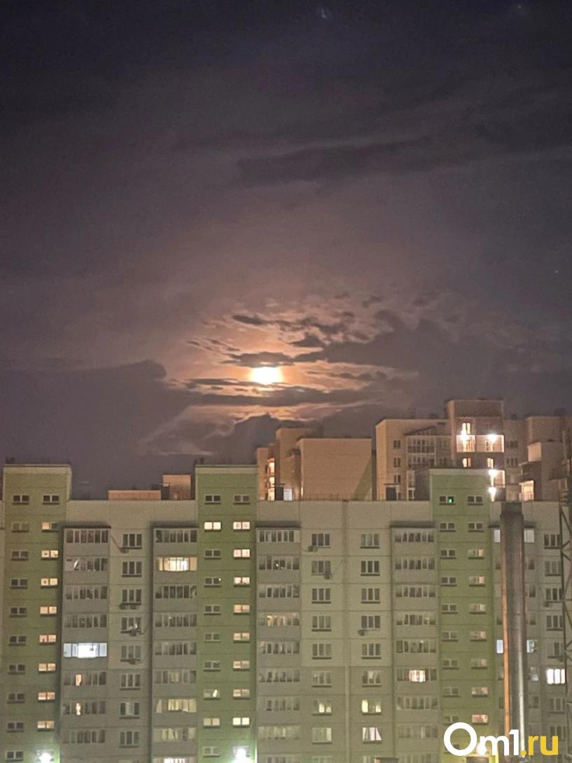 Изображение фоторепортажа