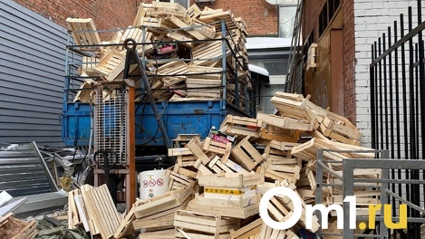 Мусор не вывозят полгода: дети играют рядом с разлагающейся свалкой в Новосибирске