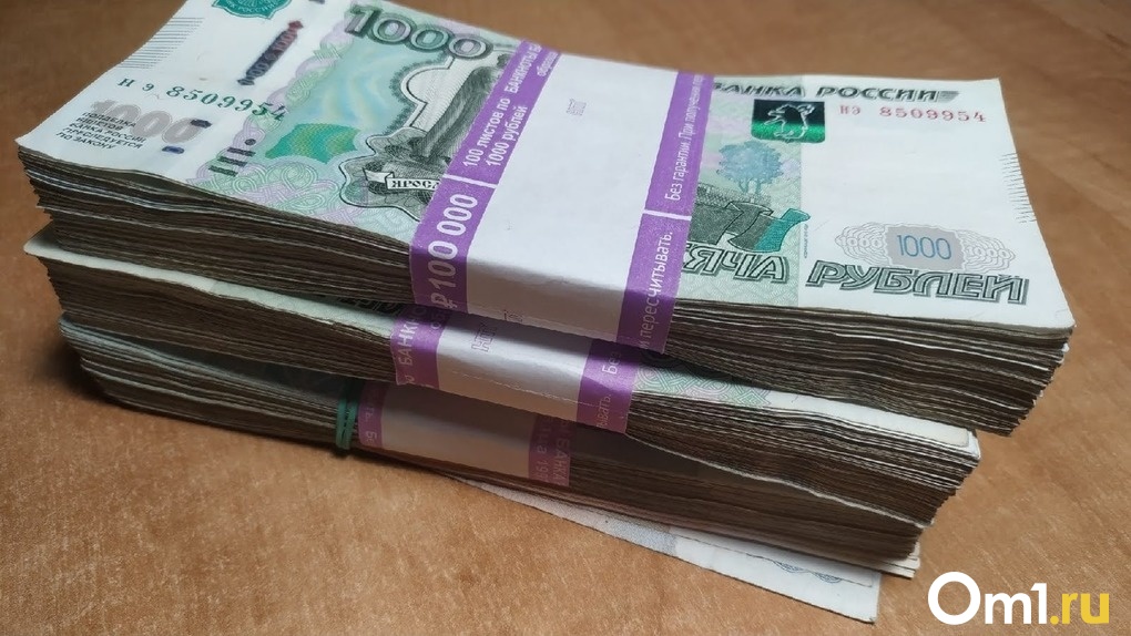 В Омске ищут мошенника, которому старушка отдала 200 000 рублей