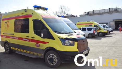 Неподалёку от Омска 15 человек заразились сибирской язвой