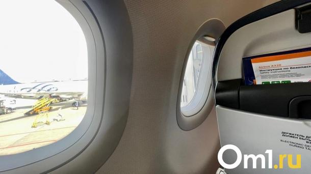Дополнительные авиарейсы: омичи летом смогут чаще летать в Москву