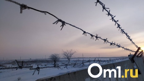 В Омске взрослый мужчина сломал школьнику челюсть