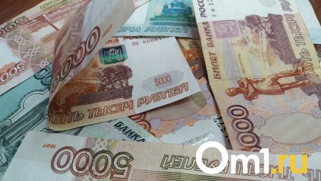 Житель Новосибирска чуть не оказался в тюрьме из-за крупного долга по алиментам